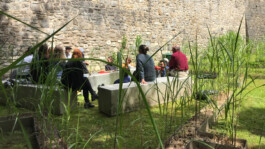 Lebende Räume - Living Rooms, seit 2020 Installation